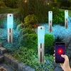 Image de Borne E27 lampadaire jardin smart home lumière extérieure détecteur de mouvement, App-commande vocale minuterie dimmable cct, IP44 1x led rgb 10W