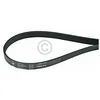 Image de Courroie trapézoïdale 1980 PH 7 compatible avec Bosch 00649054 pour sèche-linge