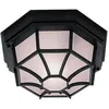Image de Outdoor - Plafonnier affleurant extérieur à 1 ampoule en fonte d'aluminium noir IP54, E27 - Searchlight