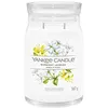 Image de Yankee Candle Signature Jasmin de Minuit bougie blanche