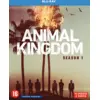 Image de Warner Home Video Animal Kingdom: Saison 1 - Blu-ray
