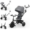Image de Kinderkraft Tricycle ASTON 2 PLUS gris KRASTO02GRYPL00