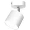 Image de Applique DIXIE BLANC 1xGX53