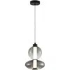 Image de Suspension DAPHNE FUMÉ 12W