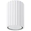 Image de Plafonnier Karbon aluminium 1xGU10 6.5cm Sollux