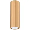 Image de Plafonnier Karbon aluminium 1xGU10 6.5cm Sollux