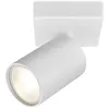 Image de Spot saillie BETA-T1 Alu GU10 35W Blanc