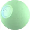 Image de Cheerble Wicked Ball Pe - Green Jouets