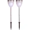 Image de Star Trading Vigo lampe de jardin solaire lot de 2