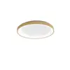 Image de Krizia - Plafonnier led moderne dimmable 50W - 4100lm, lumière chaude 3000K, aluminium doré, diffuseur opale, d.45 cm