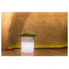 Image de Lampe Vaso Tondo Venusio Diam. Cm 40Xh.50 Lt.16 Giac.-Luce Bia. Technoplast