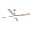 Image de Faro Barcelona - Ventilateur de plafond Palk dc avec Lumière