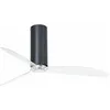Image de Faro Barcelona - Ventilateur de plafond dc Tube Noir brillant
