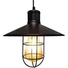Image de Applique suspendue vintage e-27 matel 300x260mm