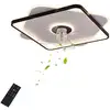 Image de Senderpick - 18.5'' Ventilateur de plafond encastré Petit ventilateur de plafond à pales Éclairage avec télécommande
