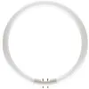 Image de Circulina fluorescente lamper tl5 22w d23 warm light tl5c2283