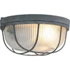 Image de Steinhauer - Sienna Lisanne Plafonnier Flush Béton Gris, Verre Transparent Traité