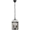 Image de Steinhauer - suspension - Pimpernel - noir - verre métal - ø 23cm