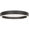 Image de Steinhauer - plafonnier - Ringlux - noir - métal - ø 30cm - led -