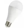 Image de Bailey - ampoule à led ecobasic led - culot e27 - 15w - a60 80100040024