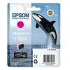 Image de C13t76034n10