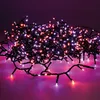 Image de Guirlande Led Compacte Clignotante Exterieur Violet Et Orange 16m 500l Cable Noir