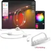 Image de Philips Hue Rallonge Permanente Festavia - Cordon Blanc 9m Avec 16 Lampes Lumière Blanche Et Colorée Dégradé De Couleurs Jusqu'à 50 Lumens Par Lampe