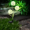 Image de Lampe solaire d'extérieur à led, décoration de jardin, lampe de terrasse avec piquet de pissenlit, vert jaune, plastique en acier inoxydable, blanc