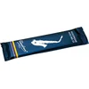 Image de Vandoren Alt Saxofoon Traditional Riet 3.5