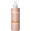 Image de Paul Mitchell Color Protect Locking Spray 250ml