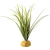 Image de Exo Terra - Ground Plant Turtle Grass 1 st