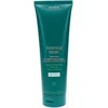 Image de Haarmasker Aveda Botanical Repair 350 ml