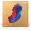 Image de D'Addario A310 4/4M Ascenté viool snaren set Medium