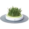 Image de Catit Design Senses Grass Garden Kit - Kattengras - 1
