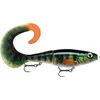Image de Rapala X-Rap Otus 17 Live Perch - PEL