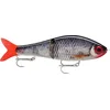 Image de Rapala Super Shadow Rap Glide 16 Live Roach - ROL