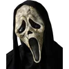 Image de CHAKS - Volwassen Zombie Screamâ  Masker