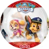 Image de PAW Patrol - Ballon - Folie - 40 x 38cm - Rood/Wit - 1 stuks