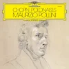 Image de Maurizio Pollini - Chopin: Polonaises (2 LP)