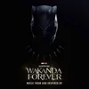 Image de Various Artists - Black Panther: Wakanda Forever ( Music From and Inspired By) (2 LP) (Coloured Vinyl) (Limited Edition)