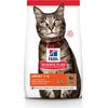 Image de Hill's Feline Adult Lam - Kattenvoer - 7 kg