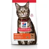 Image de Hill's Feline Adult Lam - Kattenvoer - 3 kg