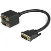 Image de DVI-D Digital Video Cable Startech DVISPL1DD Black 0,3 m