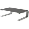 Image de Raiser Startech MONSTND Silver
