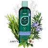 Image de Hask Shampoo Tea Tree Oil & Rosemary Invigorating Shampoo - Tea tree olie & rozemarijn - Hydratatieboost - Kalmeert de hoofdhuid