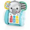 Image de Baby activity Chase & Tap Earl - Baby Einstein - vanaf 6 maanden