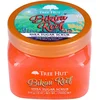 Image de Tree Hut Shea sugar body scrub - Bikini Reef