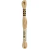 Image de DMC Borduurgaren-738 Beige