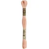 Image de DMC Borduurgaren-754 Oud Zalm