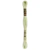 Image de DMC Borduurgaren-772 Lime